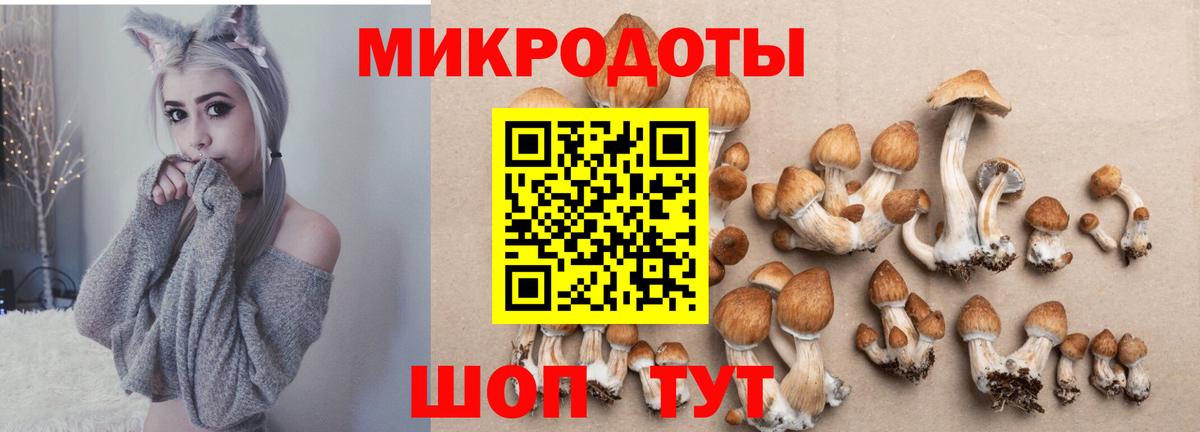 Галлюциногенные грибы ЛСД Мурино