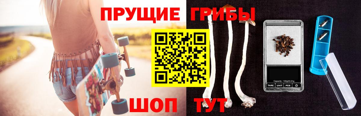 Псилоцибиновые грибы MAGIC MUSHROOMS  Вход с VPN  Мурино 