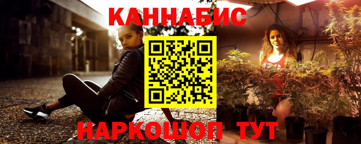 Конопля OG Kush  МАРИХУАНА конопля  Мурино  Шишки марихуана план  Конопля OG Kush  Вход с VPN 